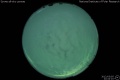 2012/3/5 22:42’10”