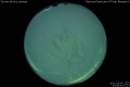 2012/3/5 22:49’10”