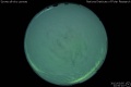 2012/3/5 22:50’10”