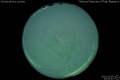 2012/3/5 22:50’40”