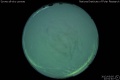 2012/3/5 22:51’40”