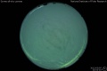 2012/3/5 22:52’10”