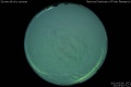 2012/3/5 22:52’40”