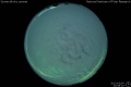 2012/3/5 22:58’10”