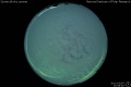 2012/3/5 22:58’40”