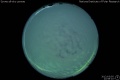 2012/3/5 22:59’10”