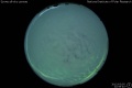 2012/3/5 22:59’40”