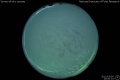 2012/3/5 23:00’10”