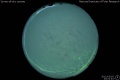 2012/3/5 23:01’40”