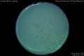 2012/3/5 23:02’10”