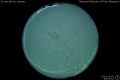 2012/3/5 23:03’10”