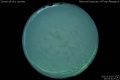 2012/3/5 23:03’40”
