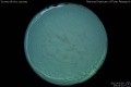 2012/3/5 23:04’10”