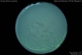 2012/3/5 23:04’40”
