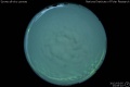 2012/3/5 23:06’10”