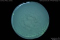 2012/3/5 23:06’40”