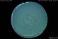 2012/3/5 23:07’10”