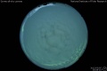 2012/3/5 23:08’10”