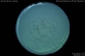 2012/3/5 23:08’40”