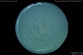 2012/3/5 23:09’10”