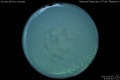 2012/3/5 23:09’40”