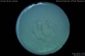 2012/3/5 23:10’10”