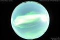 2012/3/11 21:17’40”