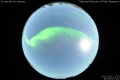 2012/3/11 22:33’10”