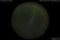 2012/3/31 19:50’40”