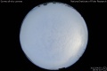 2012/4/3 16:50’10”