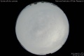 2012/4/3 17:50’10”