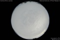 2012/4/3 18:00’10”