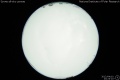 2012/4/10 23:23’10”
