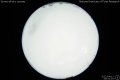 2012/4/11 00:31’10”