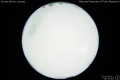 2012/4/11 00:31’40”