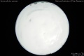 2012/4/11 00:57’10”