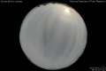 2012/4/11 19:30’10”
