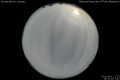 2012/4/11 19:31’10”