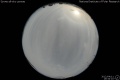 2012/4/11 19:34’10”