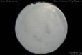 2012/4/11 20:05’10”