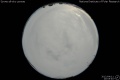2012/4/11 20:05’40”