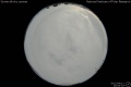 2012/4/11 20:06’10”