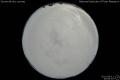 2012/4/11 20:08’10”