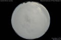 2012/4/11 20:08’40”