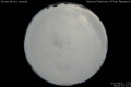 2012/4/11 20:09’10”