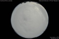 2012/4/11 20:09’40”