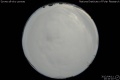 2012/4/11 20:10’10”