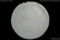 2012/4/11 20:11’10”
