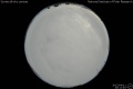 2012/4/11 20:11’40”