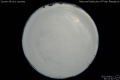 2012/4/11 20:12’40”